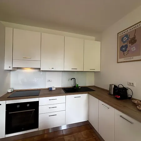 Camellia - Larihome A98 Apartament *